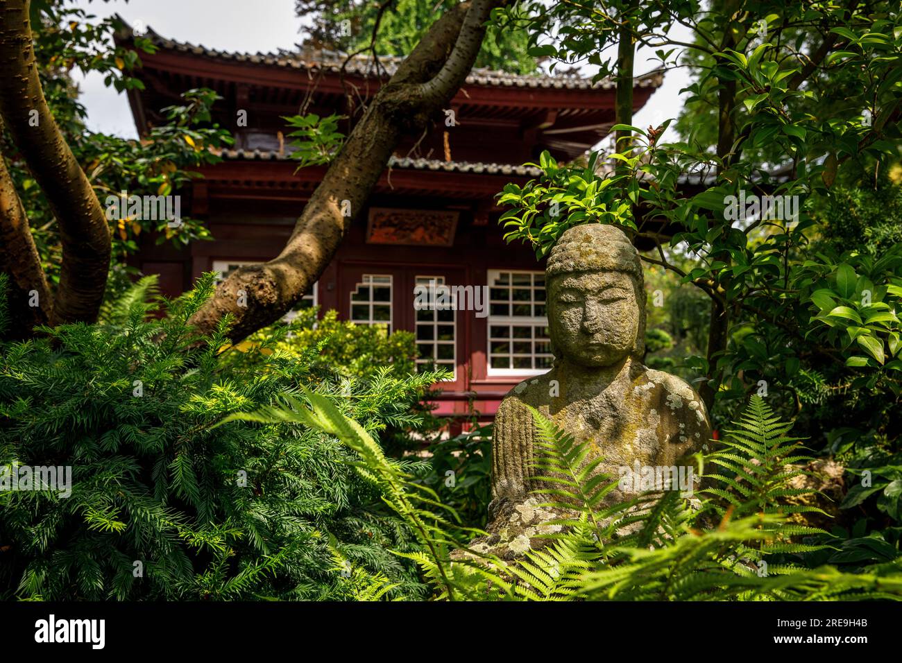 buddha di fronte alla casa da tè nel giardino giapponese di Leverkusen, Renania settentrionale-Vestfalia, Germania. Buddha vor dem Teehaus im Japanischen Garten in Foto Stock