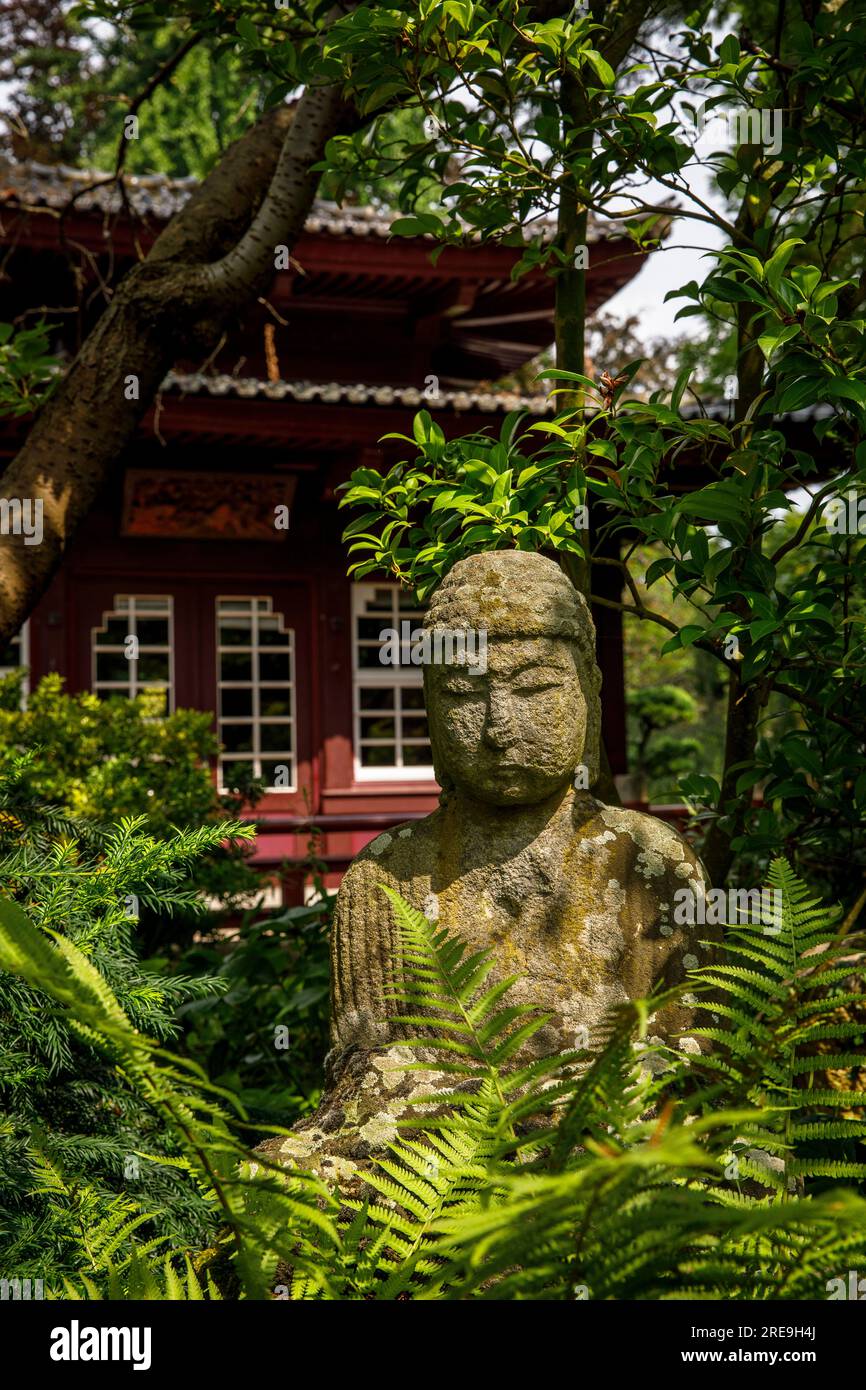 buddha di fronte alla casa da tè nel giardino giapponese di Leverkusen, Renania settentrionale-Vestfalia, Germania. Buddha vor dem Teehaus im Japanischen Garten in Foto Stock
