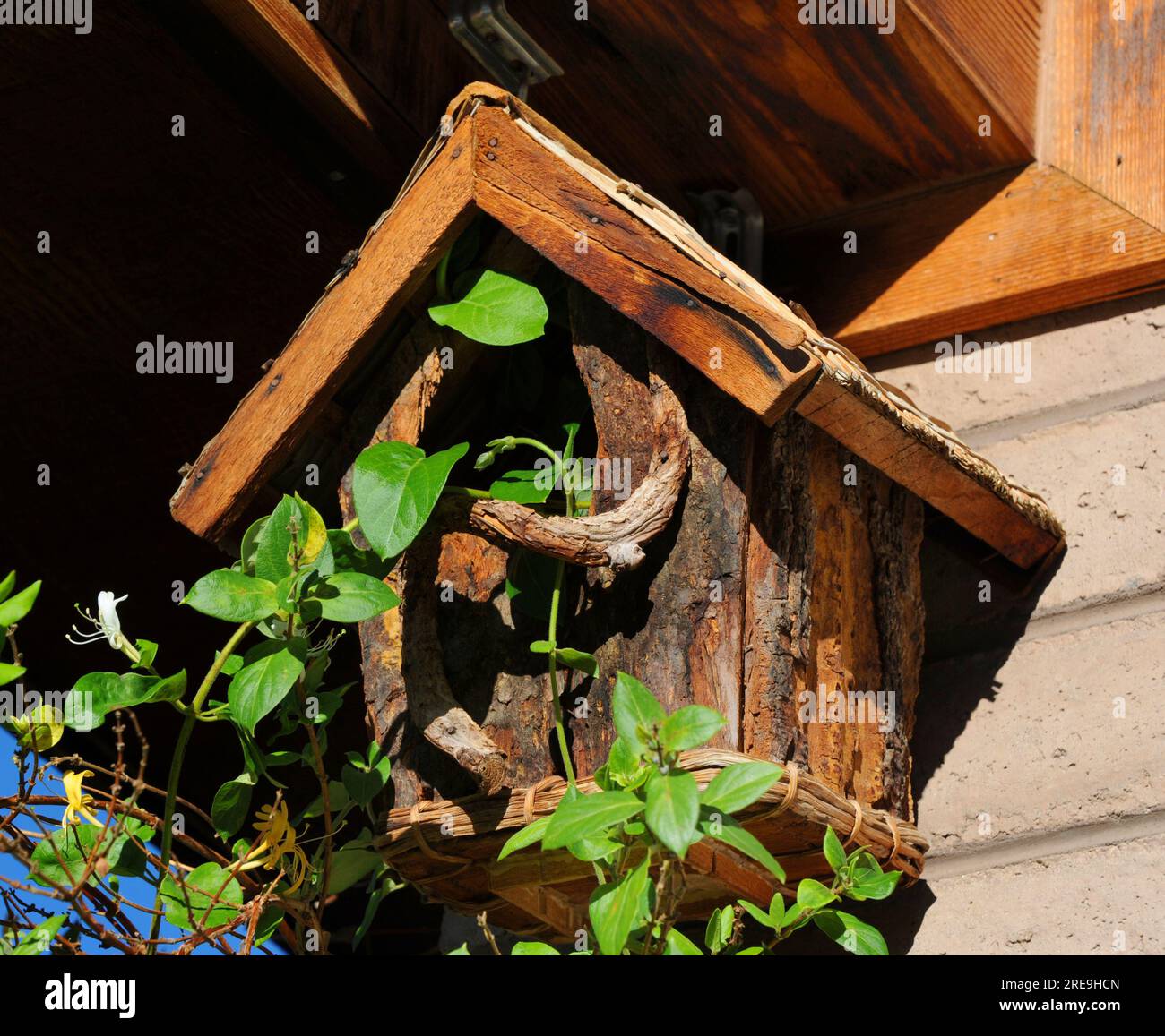 Rustico, casa di legno di uccello è stato superato da vitigni honeysuckle. Foto Stock