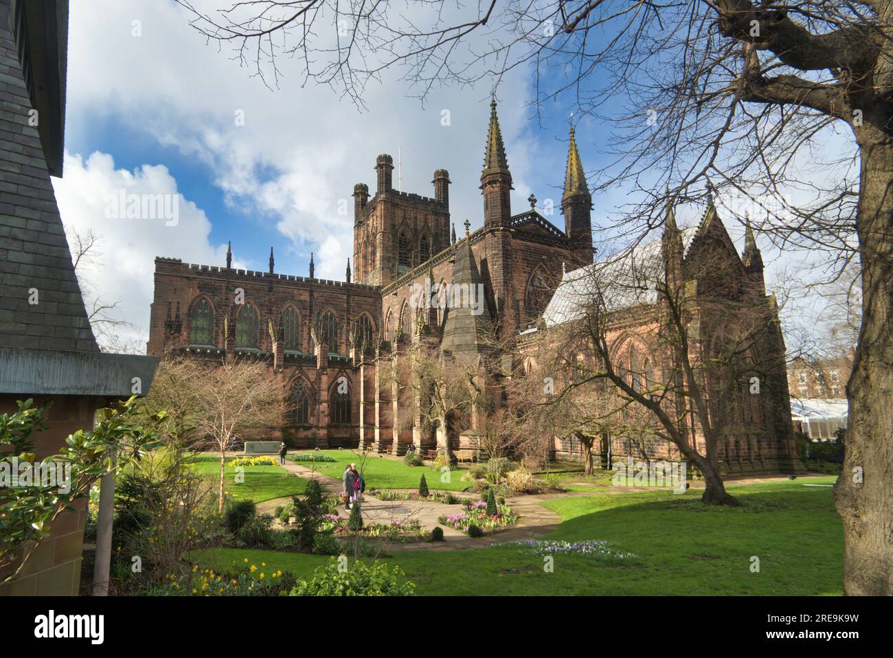 Cattedrale di Chester in primavera con narcisi nei giardini, centro città, Chester, Inghilterra, Regno Unito Foto Stock