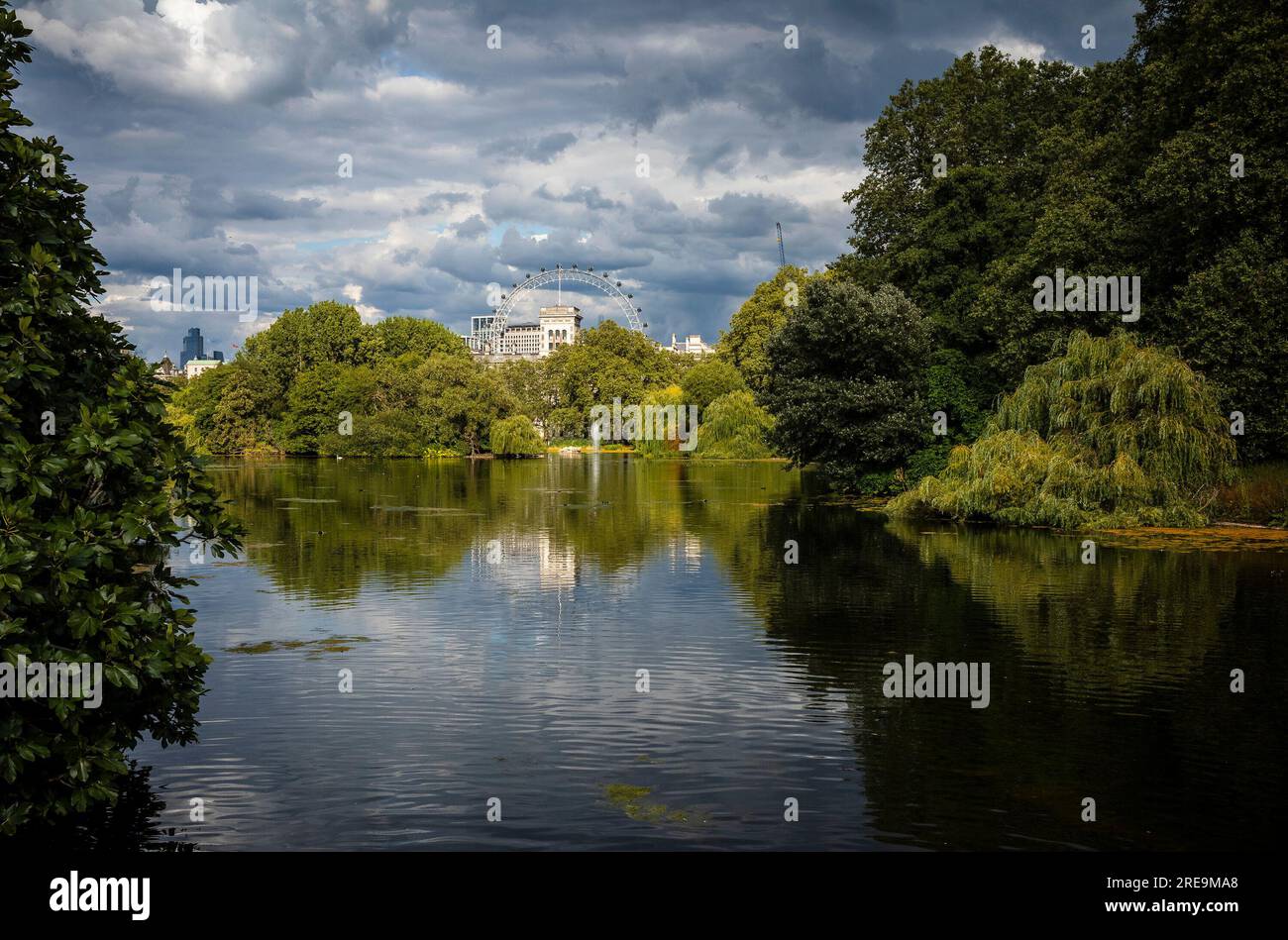 Vista sul London Eye dal Green Park di Londra, Regno Unito il 20/07/2023 di Wiktor Dabkowski Foto Stock