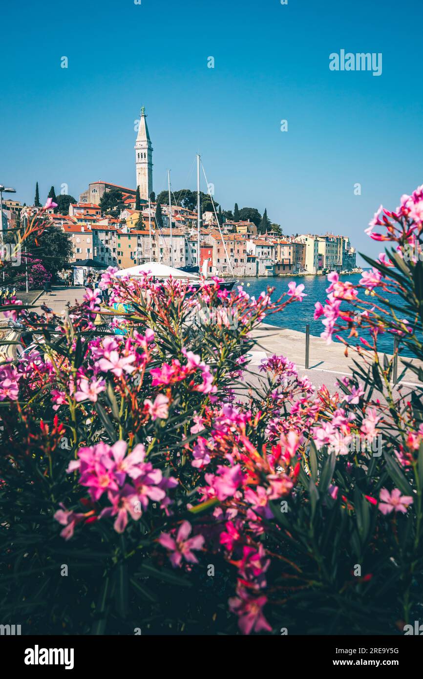 La tradizionale città portuale di Rovigno in Istria, Croazia. un bellissimo panorama mattutino della città in riva al mare suonato in una pozzanghera Foto Stock