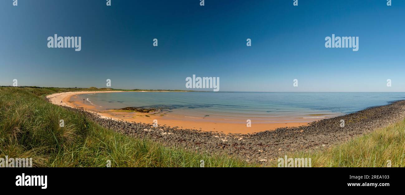 Embleton Bay vicino a Low Newton-by-the-Sea, Northumberland, Regno Unito Foto Stock