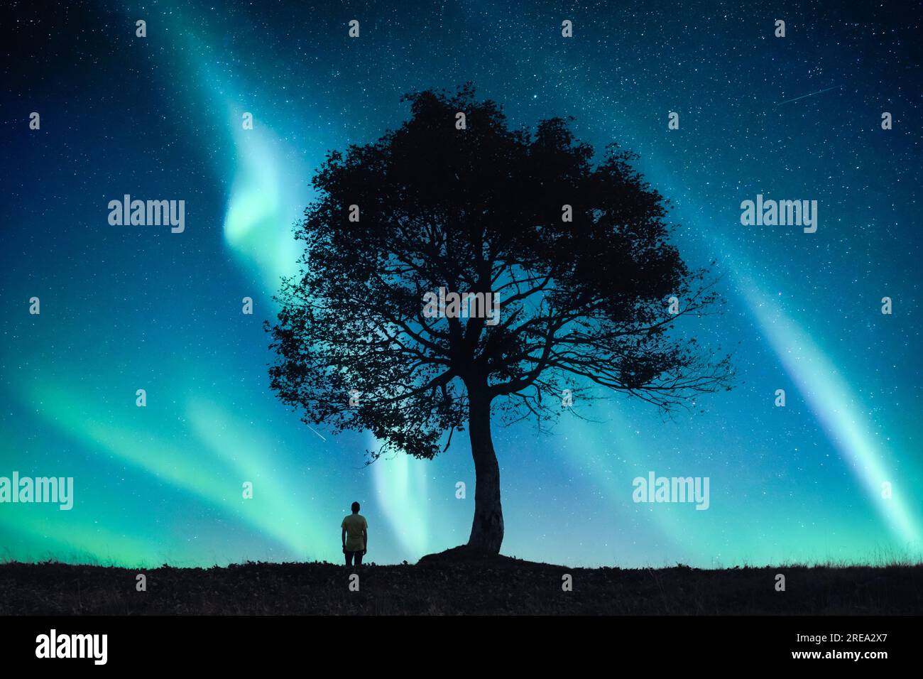 Umano solitario sotto un vecchio albero nel campo notturno sullo sfondo di un cielo incredibile con la luce dell'aurora boreale. Fotografia di paesaggi Foto Stock