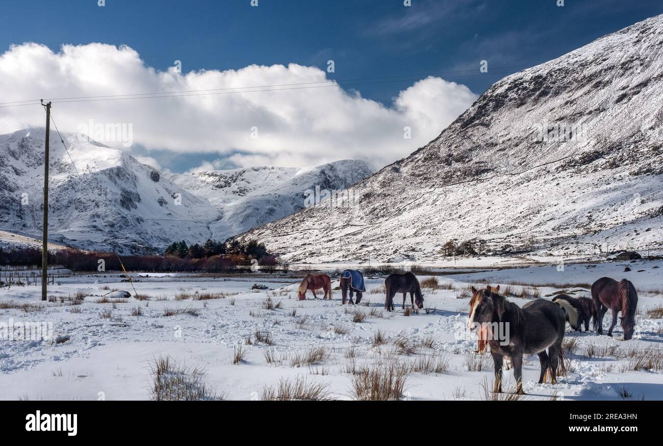 Ogwen Valley innevata in inverno, Snowdonia, Galles, Regno Unito Foto Stock