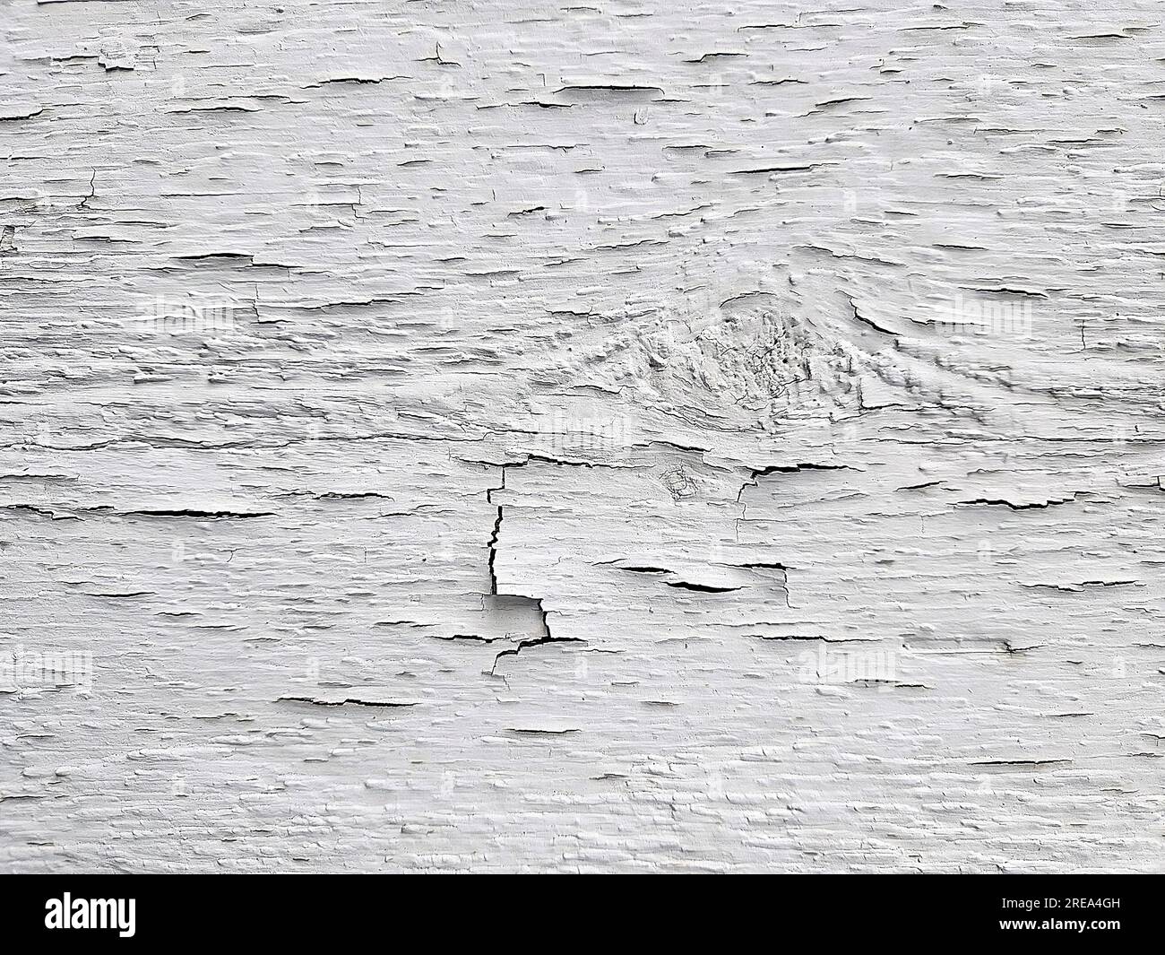Primo piano della vecchia vernice bianca su legno incrinata e sbucciata Foto Stock