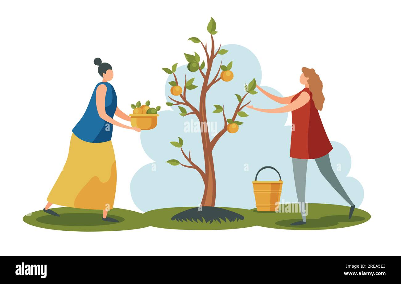 Persone che lavorano in giardino. Donne che raccolgono mele dall'albero in giardino. Caratteri di lavoro che trattengono cesti e secchi Illustrazione Vettoriale