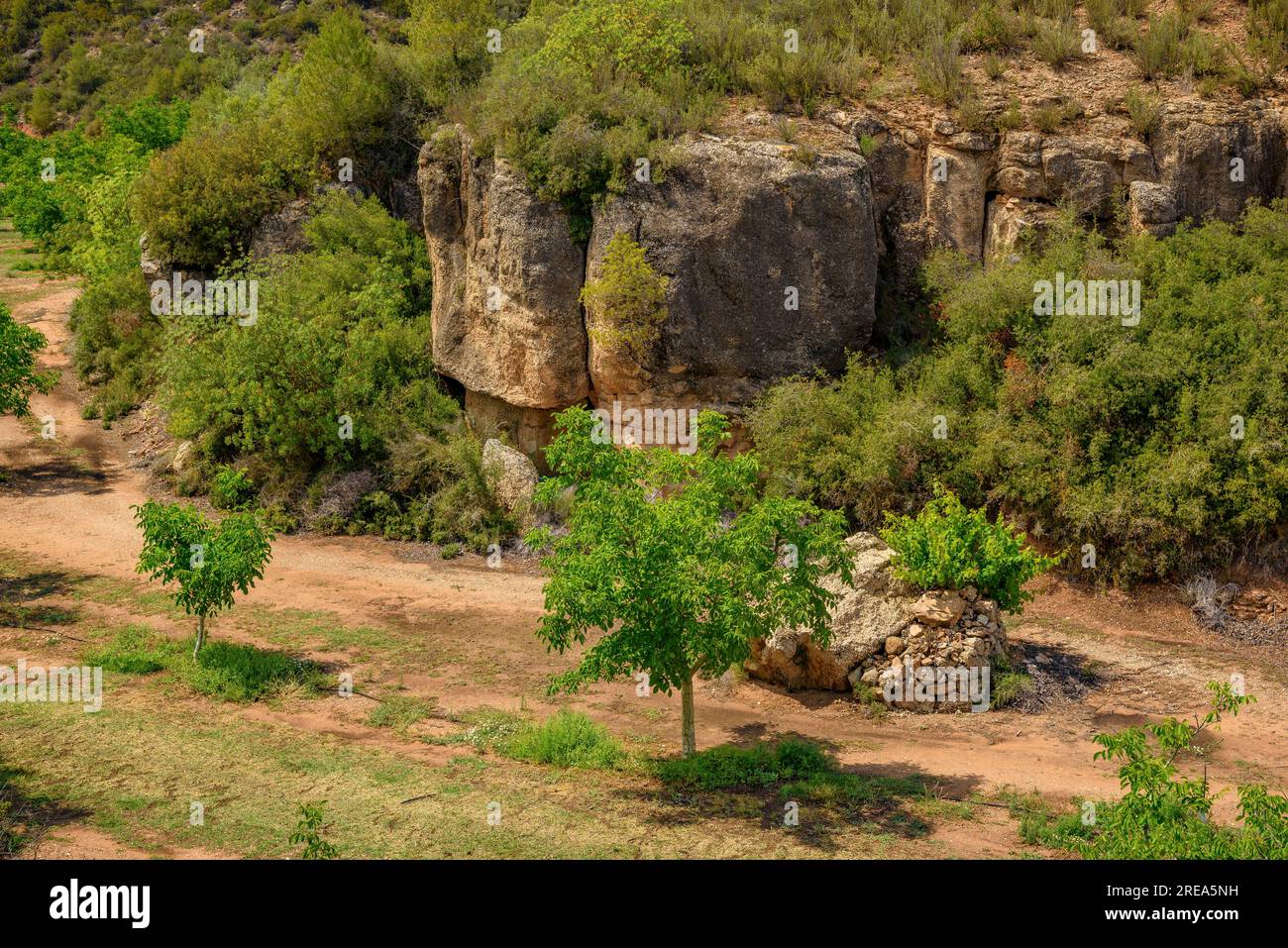 Valle di Bovera in un pomeriggio primaverile (Les Garrigues, Lleida, Catalogna, Spagna) ESP: Valle de Bovera en una tarde de de primavera (Les Garrigues, Lérida) Foto Stock