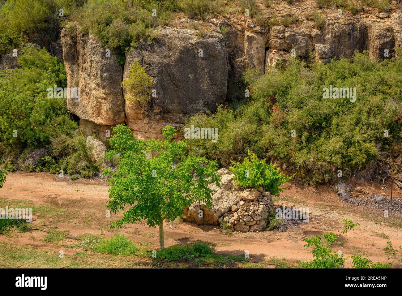 Valle di Bovera in un pomeriggio primaverile (Les Garrigues, Lleida, Catalogna, Spagna) ESP: Valle de Bovera en una tarde de de primavera (Les Garrigues, Lérida) Foto Stock