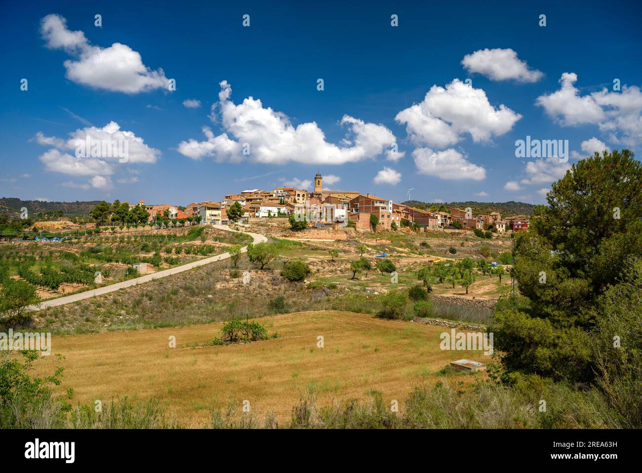 Villaggio di Bovera, su una collina, circondato da campi e alberi da frutto (Les Garrigues, Lleida, Catalogna, Spagna). Esempio: Pueblo de Bovera, en una colina, Lérida Foto Stock