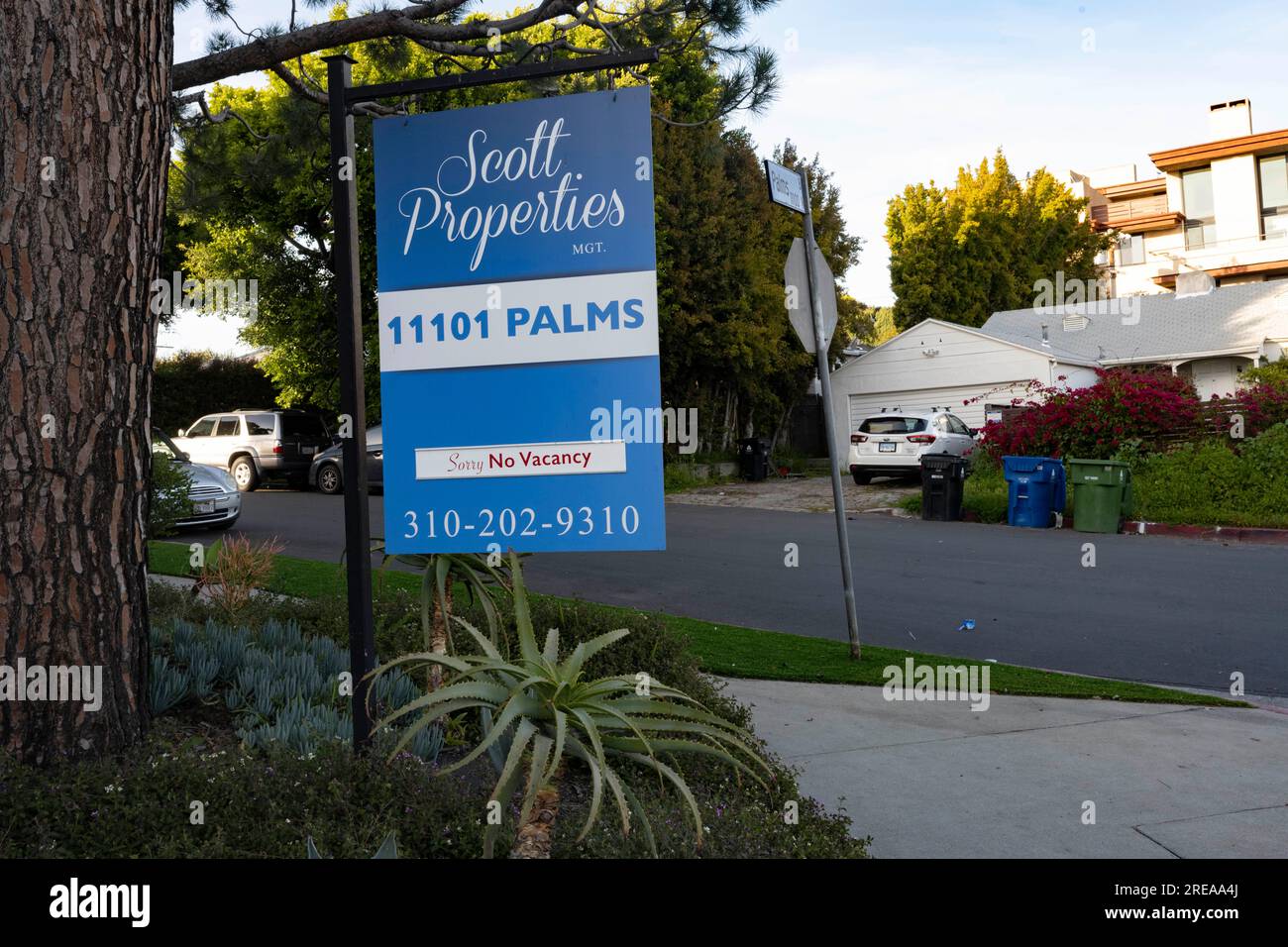 Los Angeles, California, USA. 4 aprile 2023. Un cartello "no vacancy" su un complesso di appartamenti gestito da Scott Properties lungo Palms Boulevard nel quartiere Palms di West LOS ANGELES. Los Angeles e lo stato della California ammette una stretta carenza di alloggi e una crisi di accessibilità delle abitazioni, con prezzi delle case e affitti medi che chiedono ben al di là di quello che gli americani della classe operaia e della classe media possono pagare senza essere sostanzialmente gravati dagli affitti. (Immagine di credito: © Taidgh Barron/ZUMA Press Wire) SOLO USO EDITORIALE! Non per USO commerciale! Foto Stock