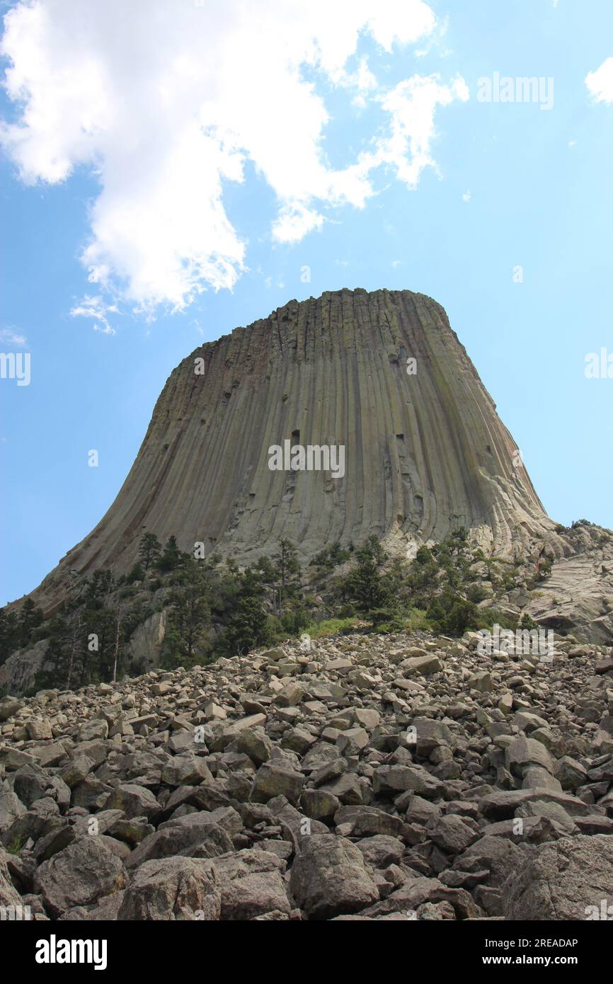 La devil's Tower è in lontananza Foto Stock