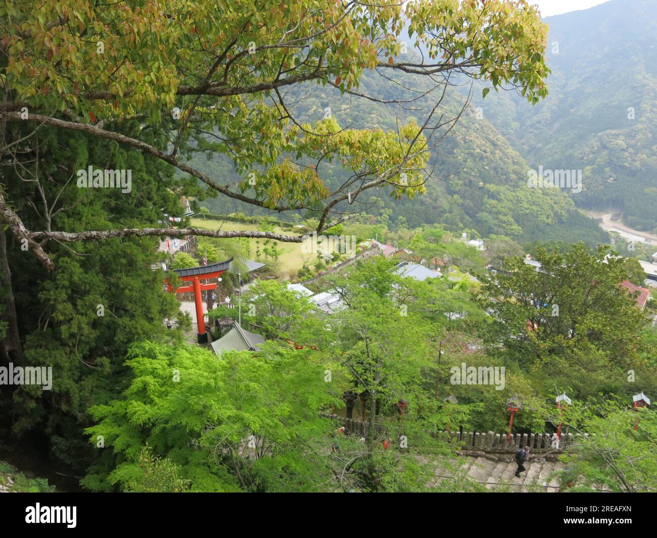 Vista sui tetti del paesaggio del Monte Nachi, dove un mix di edifici shintoisti e buddisti lo rendono un luogo sacro e meta di pellegrinaggio. Foto Stock