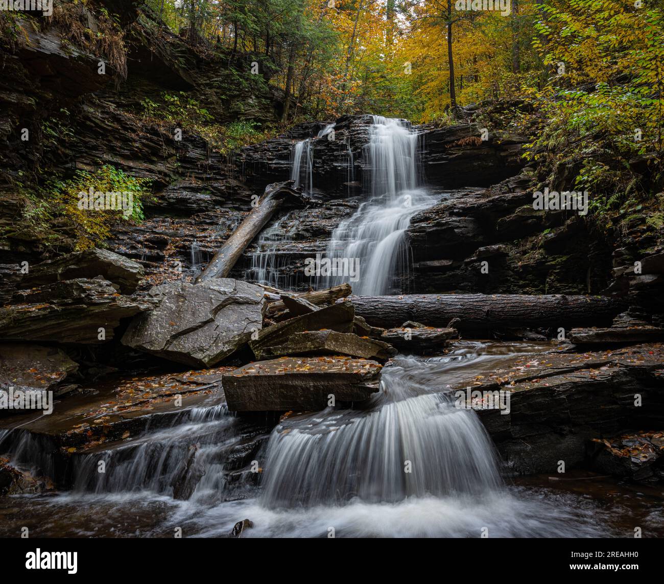 Cascata al Ricketts Glen State Park, Pennsylvania Foto Stock