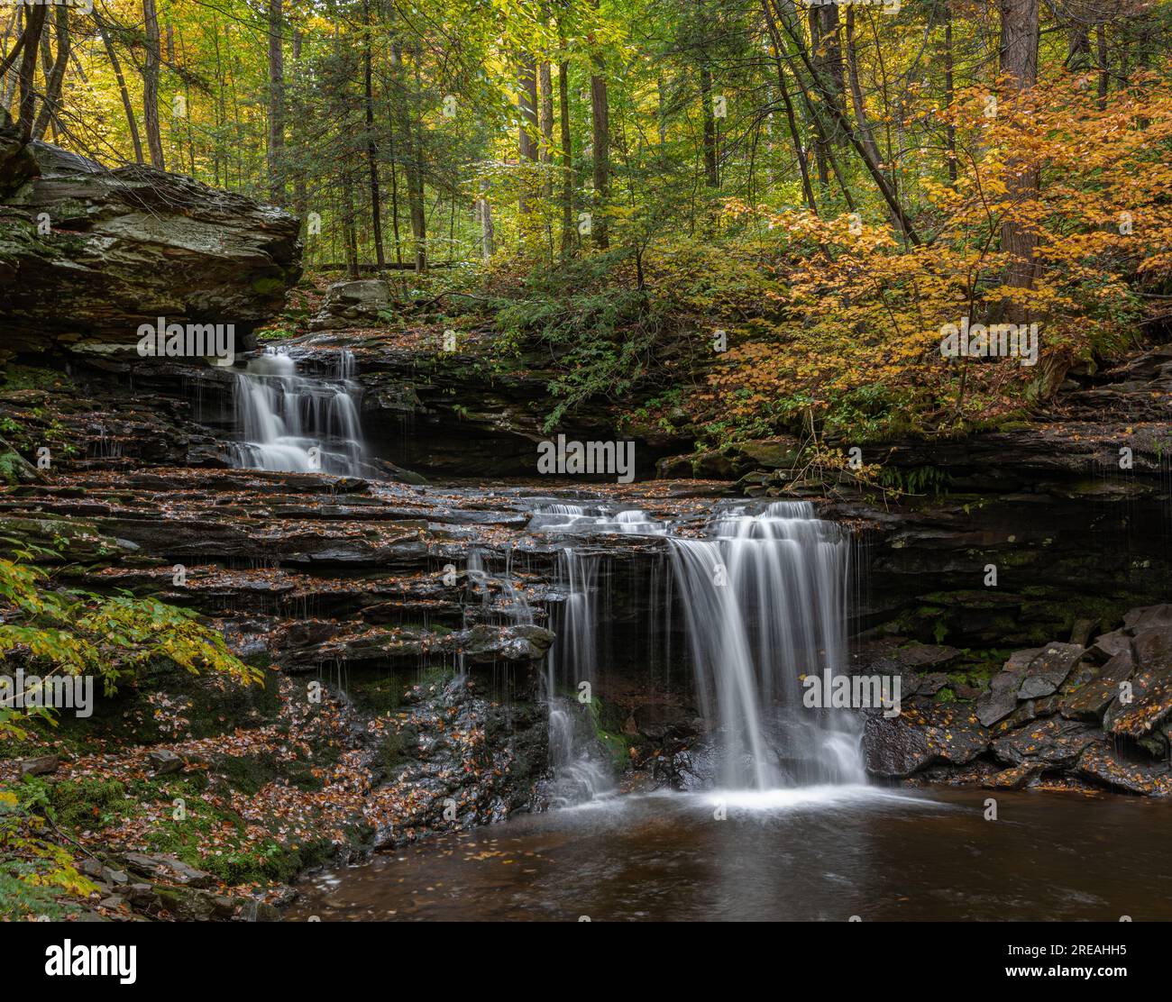 Ricketts Glen State Park, Pennsylvania Foto Stock