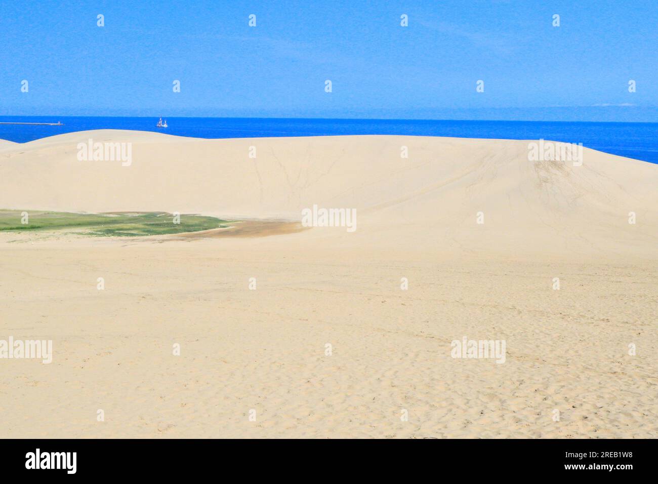 Tottori dune di sabbia Foto Stock