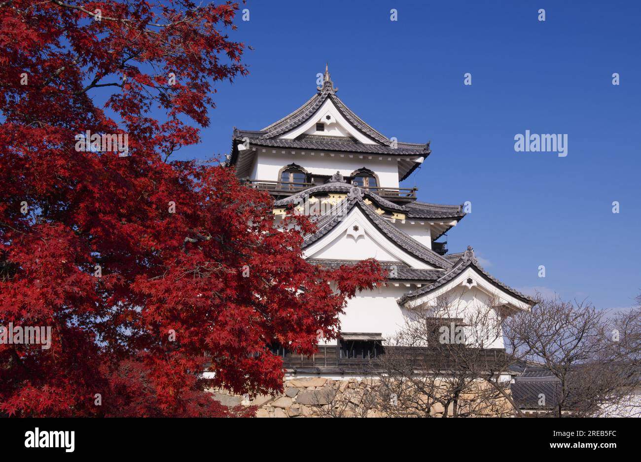 Castello di Hikone Foto Stock