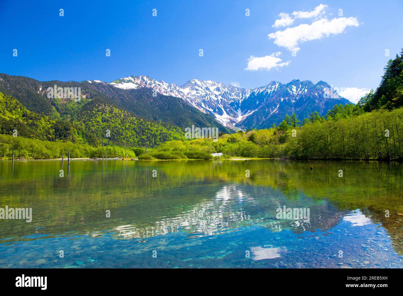 Taisho stagno Foto Stock