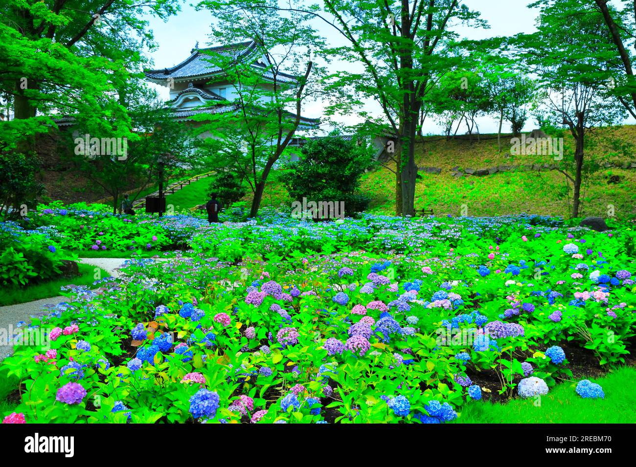 Castello Nijo con ortensie in fiore Foto Stock