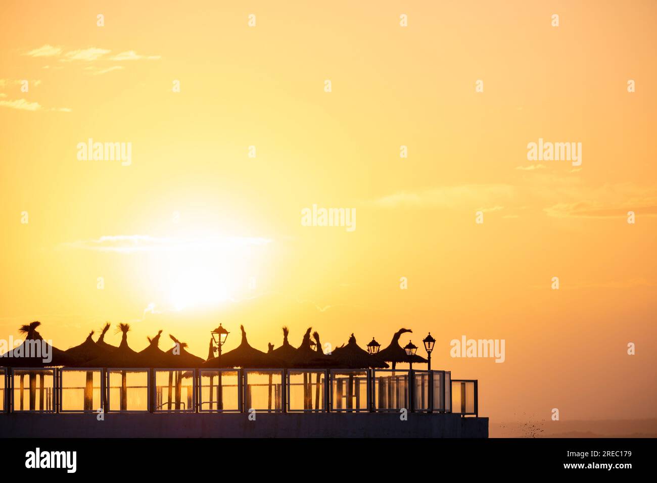 Ombrelloni presso l'hotel Marques, spiaggia es Coto, Maiorca, Isole Baleari, Spagna Foto Stock