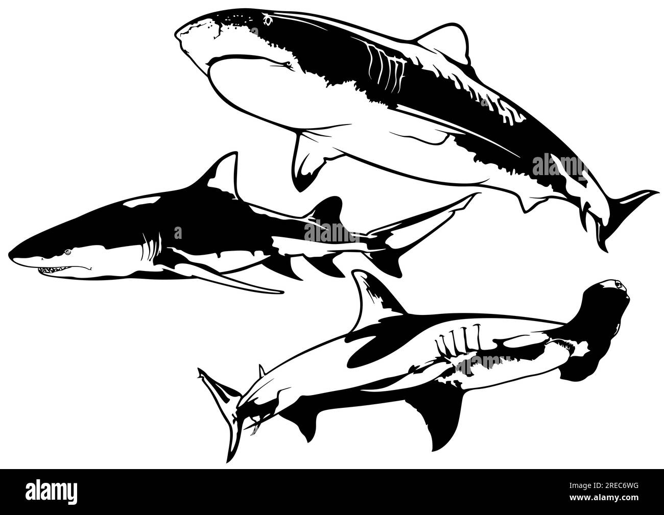 Set di disegni con squali Illustrazione Vettoriale