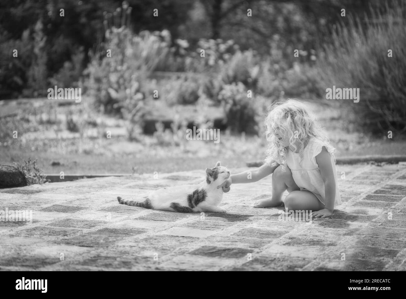 Una bambina bionda che accarezza un gatto con il sole estivo Foto Stock