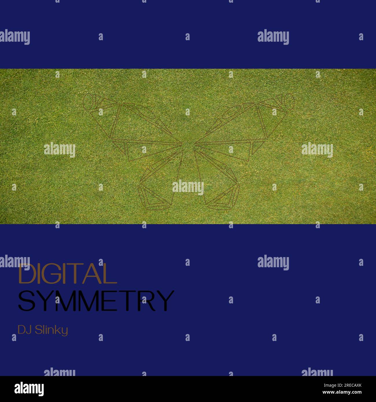Composizione del testo della simmetria digitale slinky dj su disegno della farfalla su sfondo verde Foto Stock