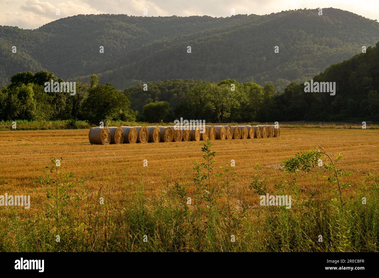 Banyoles, Pla de l'Estany, Catalogna, Spagna. Luglio 2023 Foto Stock