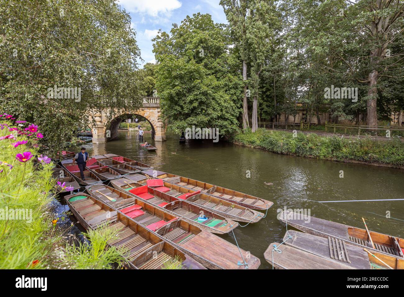 I turisti che fanno un giro nel fiume Cherwell, vicino ai giardini botanici di Oxford e al Magdalen Bridge , Oxfordshire, Inghilterra Foto Stock