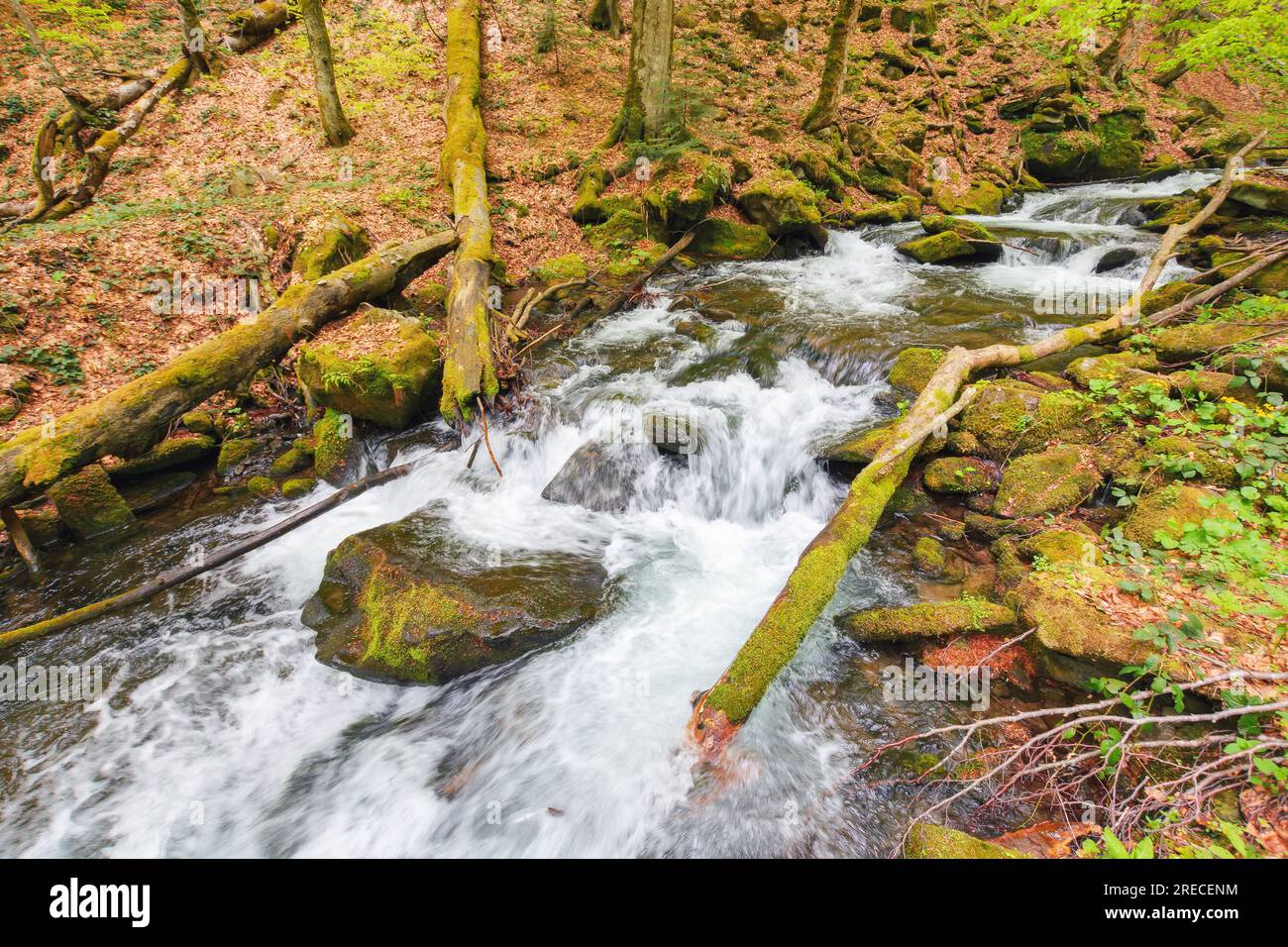 brook nel bosco tra massi. paesaggi naturali all'aperto in primavera. concetto di ecologia e acqua dolce Foto Stock