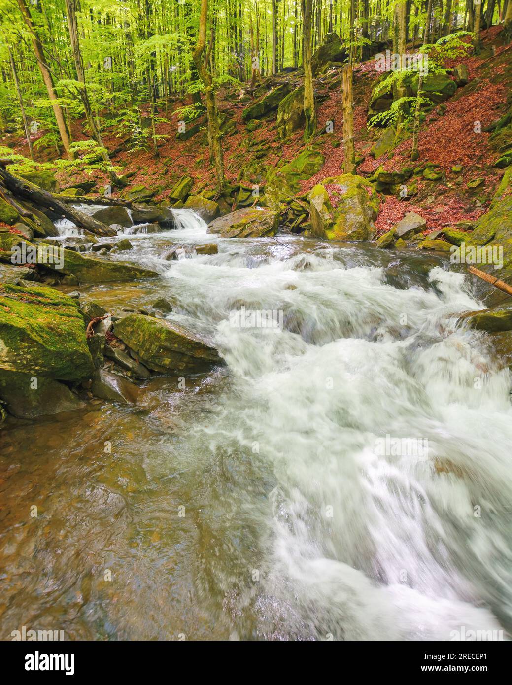 torrente d'acqua nel bosco tra pietre. paesaggi naturali all'aperto in primavera. concetto di ecologia e acqua dolce Foto Stock