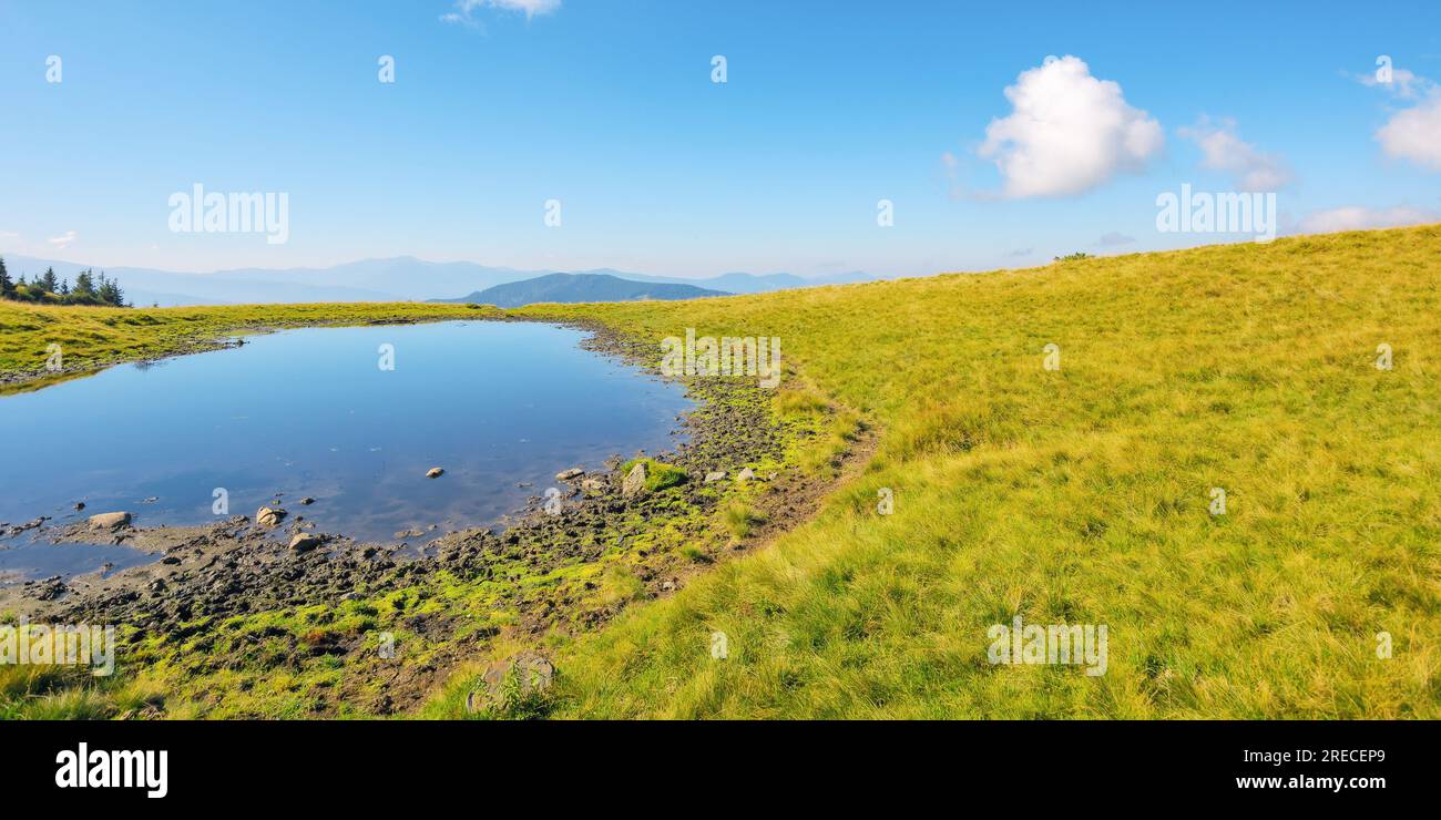 laghetto sulla collina alla luce del mattino. splendido paesaggio naturale con prati erbosi nelle montagne dei carpazi. nuvole soffici sul cielo blu Foto Stock