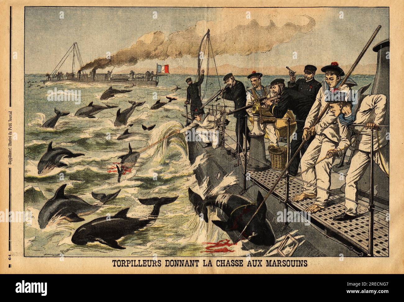 Les torpilleurs donnant la chasse aux marsouins, qui envahissent la mediterranee en faisant fuir les bancs de poissons (sardine, acciughe, maquereaux) et dechirent les filets des pecheurs. Gravure in "le petit Journal" 2221903. . Foto Stock