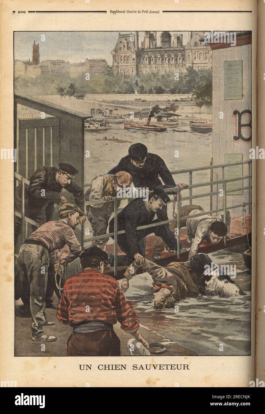 Un chien sauveteur, un terre neuve (terre-neuve) de la prefettura di Parigi, se jette dans la Seine pour porter secours a un homme tombe a l'eau, puis rapporte a l'agent fluvial de garde. Gravure in "le petit Journal" 2261902. . Foto Stock