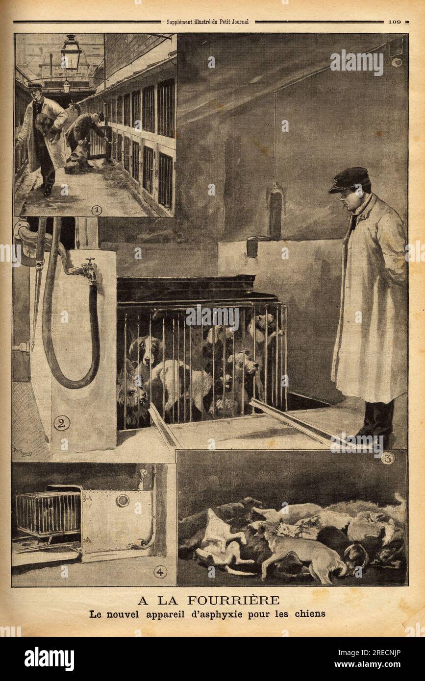 Presentation du nouvel appareil d'asphyxie pour les chiens de la fourriere de Paris, propose par la societe d'Assistance aux animaux, pour un abattage aussi rapide que possible et sans souffrance. Gravure in "le petit Journal" 641902. . Foto Stock