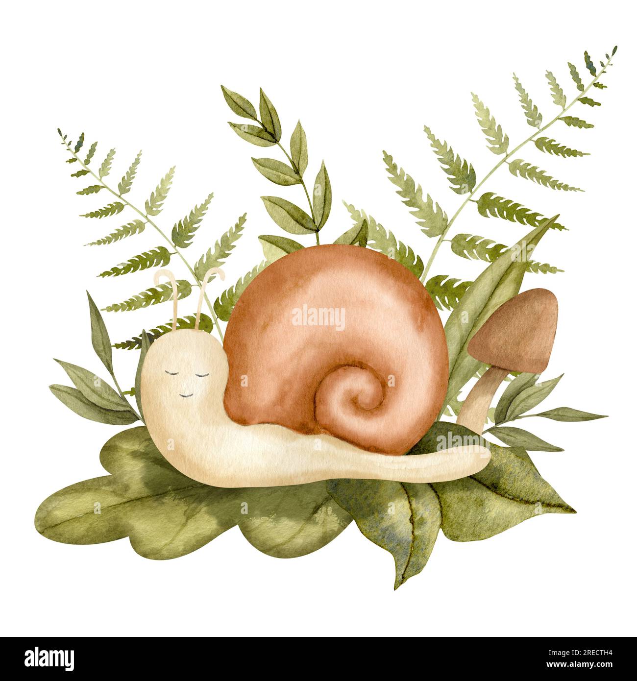 Lumaca con felce e piante forestali. Illustrazione ad acquerello disegnata a mano di un simpatico personaggio dei cartoni animati su sfondo bianco isolato per biglietti d'auguri o inviti per la doccia del bambino. Schizzo della spirale. Foto Stock