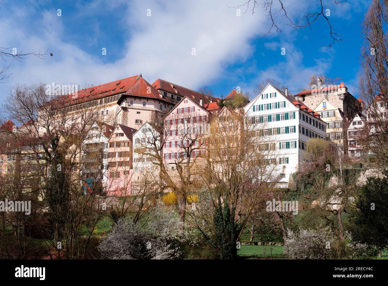 Tübingen Altstadt con castello Foto Stock