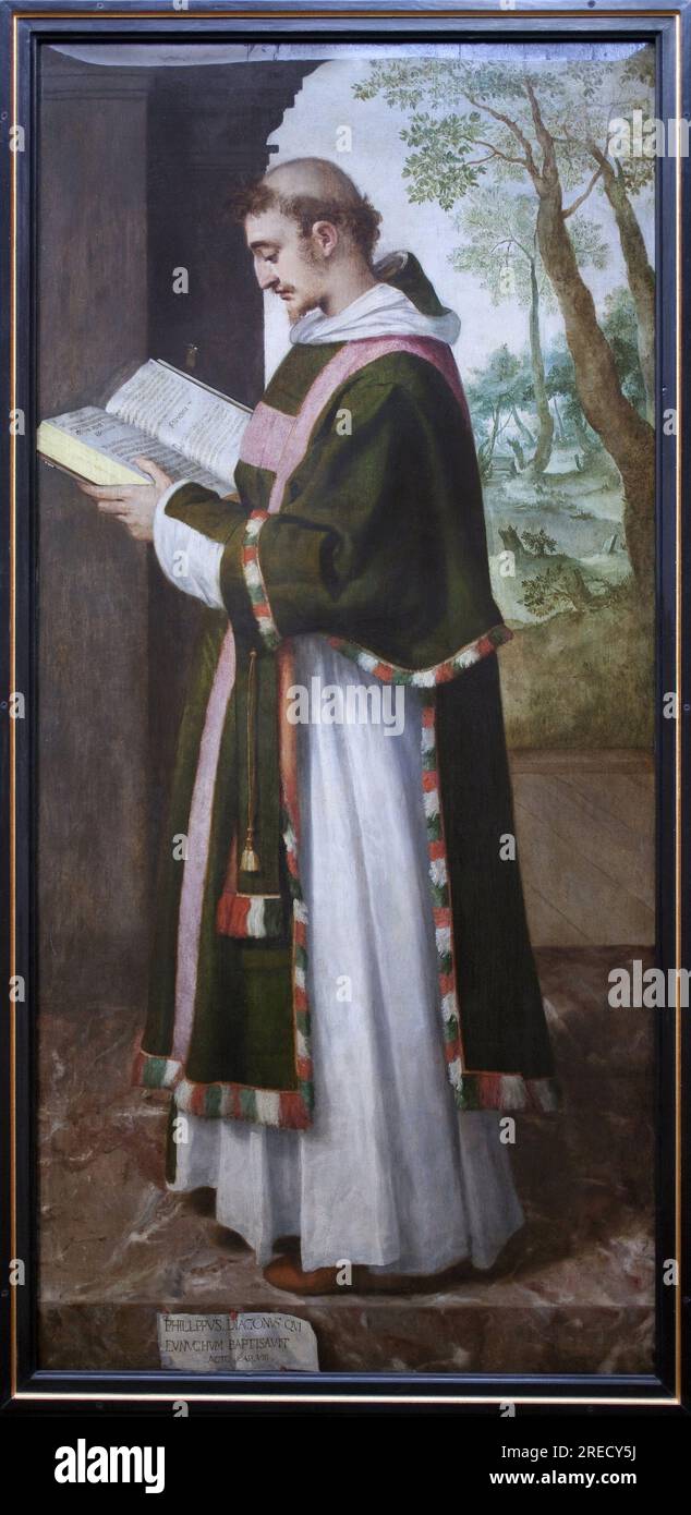 Saint Philippe. (au revers le bapteme du Christ, volet d'un triptyque aujourd'hui demembre). Peinture de Anthonie Van Montfoort dit Blocklandt (1533-1583), huile sur bois, 16e siecle. Museo delle Belle Arti di Lille. Foto Stock