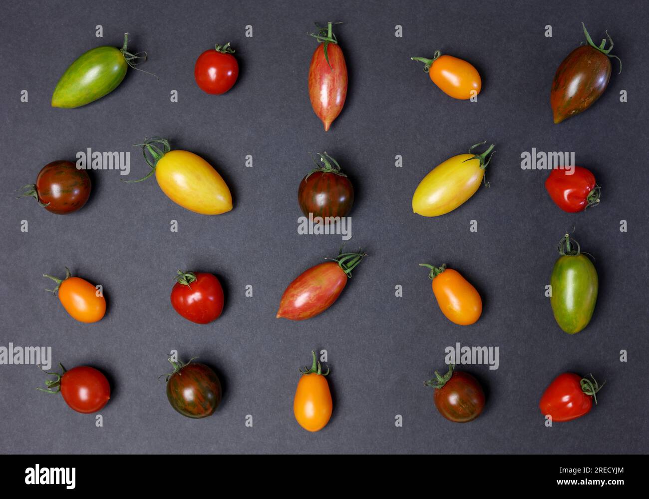 una varietà di pomodori multicolori su sfondo grigio scuro Foto Stock