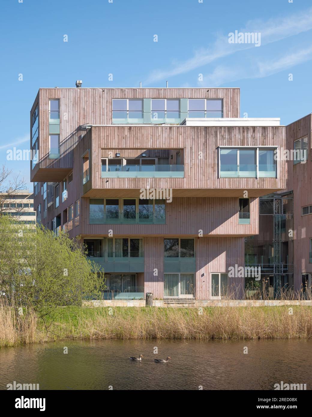 Amsterdam, Paesi Bassi - Crystal Court Housing di Tangram Architekten Foto Stock