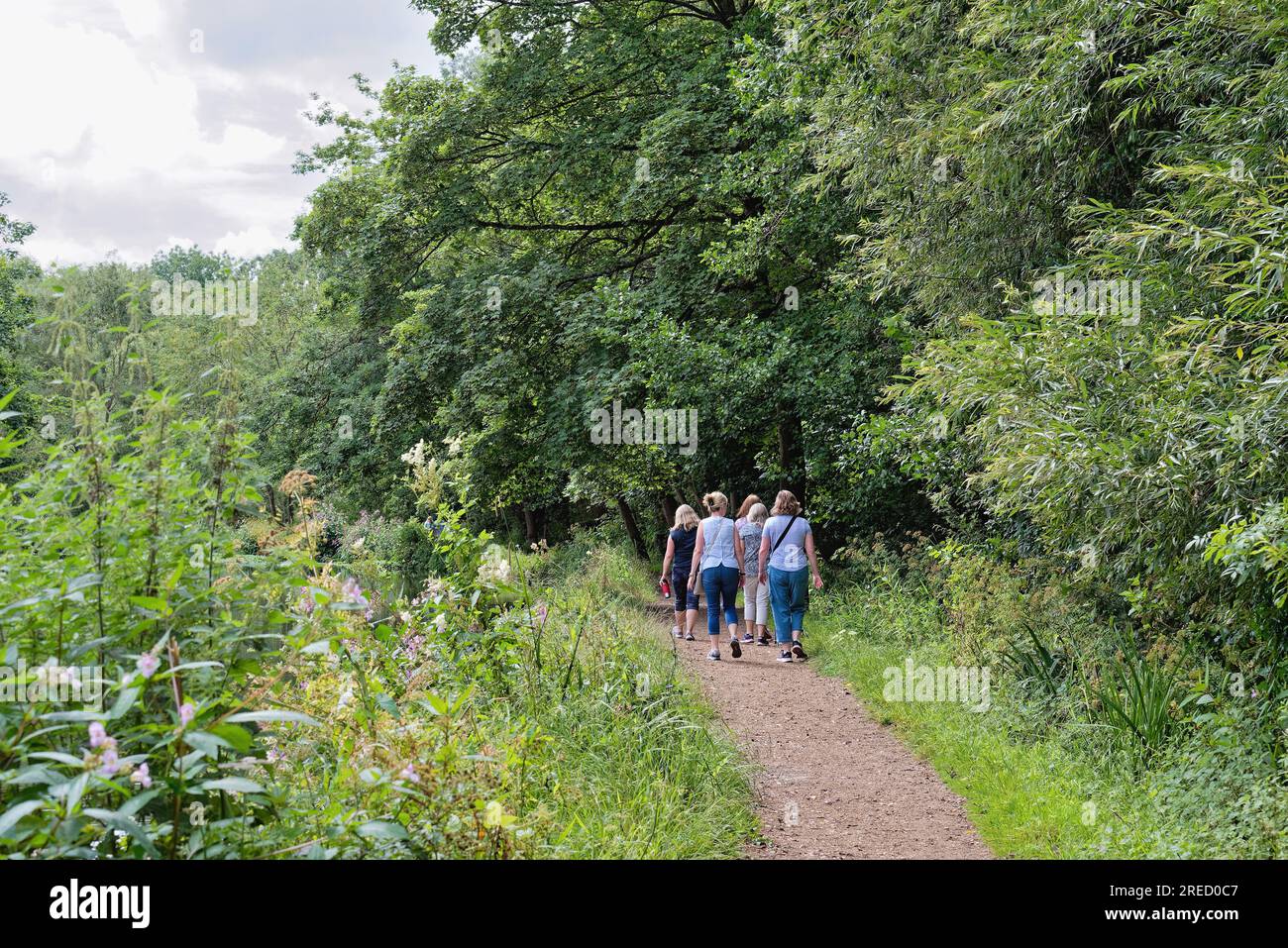 Un gruppo di donne di mezza età che camminano sul sentiero vicino al canale di navigazione del fiume Wey in una giornata estiva Weybridge Surrey Inghilterra Regno Unito Foto Stock