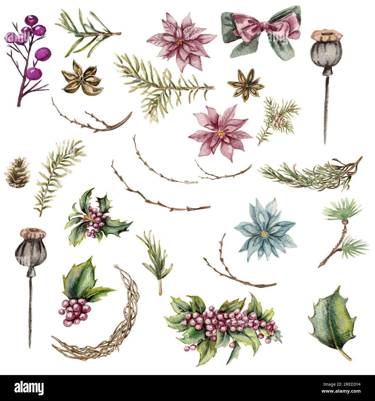 Acquerello elementi di fiori di Natale invernali. Isolati su sfondo bianco. Illustrazione acquerello. Cottage invernale. perfetto per biglietti di auguri, posta Foto Stock Acquerello elementi di fiori di Natale invernali. Isolati su sfondo bianco. Illustrazione acquerello. Cottage invernale. perfetto per biglietti di auguri, posta Foto Stock