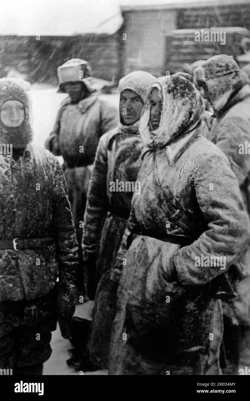 I soldati russi catturati nella sezione centrale vicino a Kality attendono il trasporto sul retro. Foto: Müller. [traduzione automatica] Foto Stock