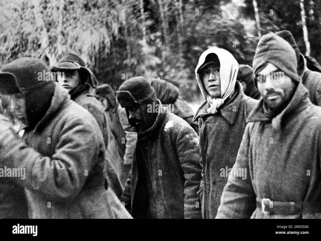 Prigionieri russi durante l'attacco a Mosca nella sezione centrale del fronte orientale. Foto: Teppen. [traduzione automatica] Foto Stock