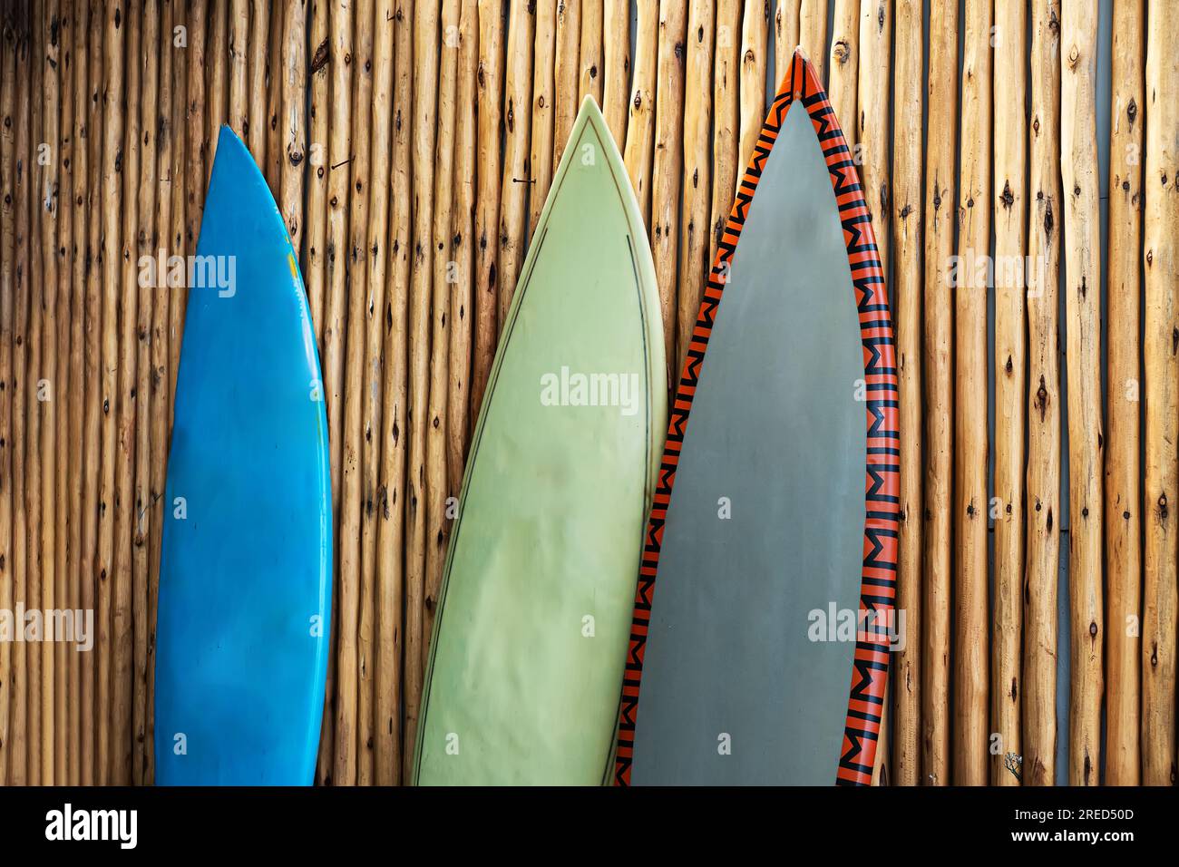 tre tavole da surf indossate contro il muro di bambù. Foto Stock