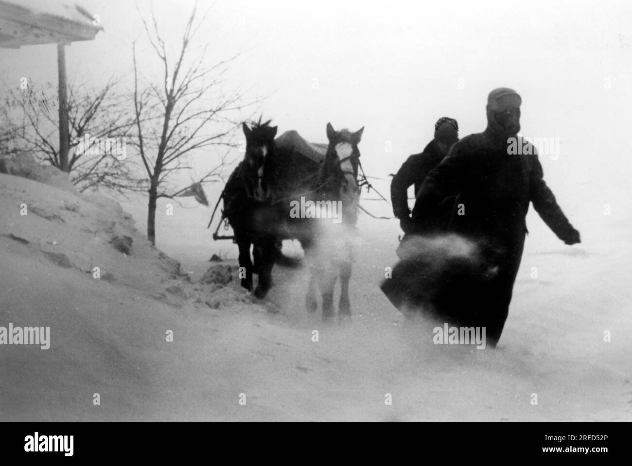 I soldati tedeschi portano munizioni con una slitta al fronte vicino a Wysakriva, nella sezione centrale del fronte orientale. Foto: Knödler [traduzione automatica] Foto Stock