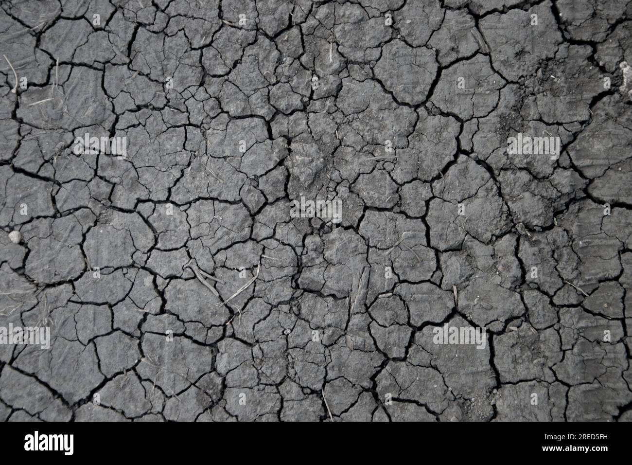 Crepe nel terreno causate dalla siccità. Problemi climatici e condizioni meteorologiche estreme. Foto Stock