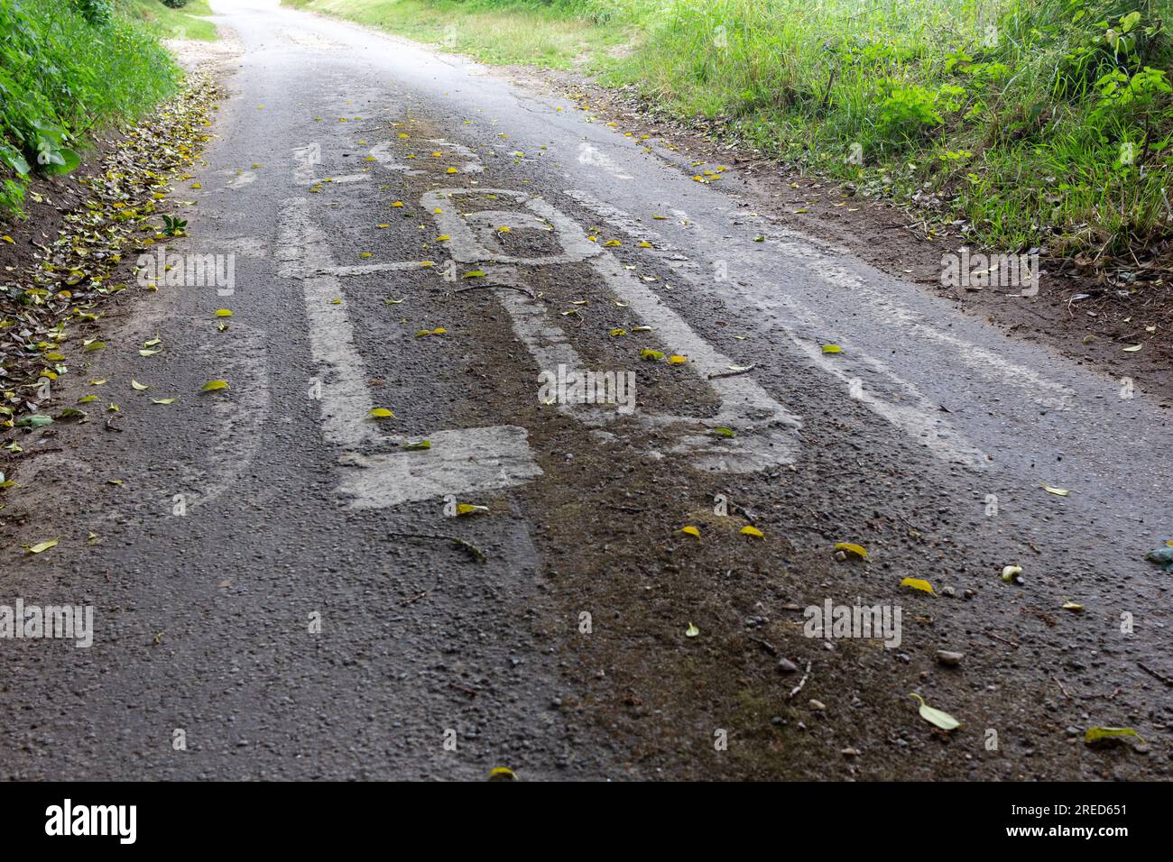 Norfolk, Inghilterra. Un segnale lento dipinto tre volte su una stretta corsia di campagna. Punto di vista basso a terra Foto Stock