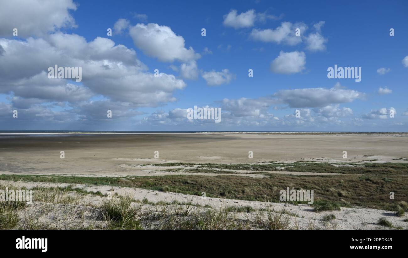L'immensa spiaggia di Kniepsand a Wittdün, Amrum, Isole Frisone, Mare del Nord, Mare di Wadden, Germania Foto Stock