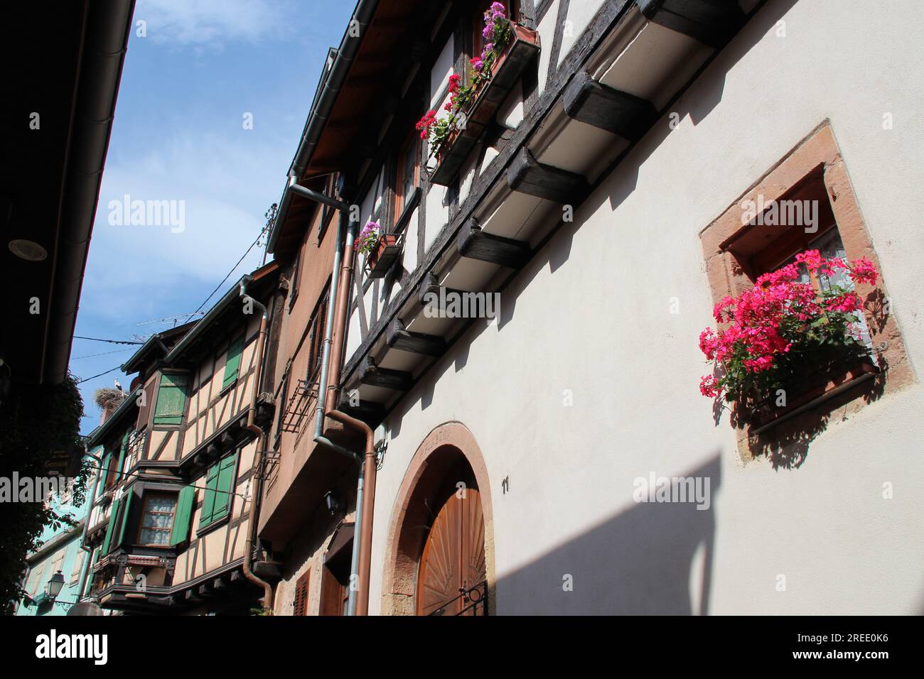 case a graticcio a eguisheim in alsazia (francia) Foto Stock
